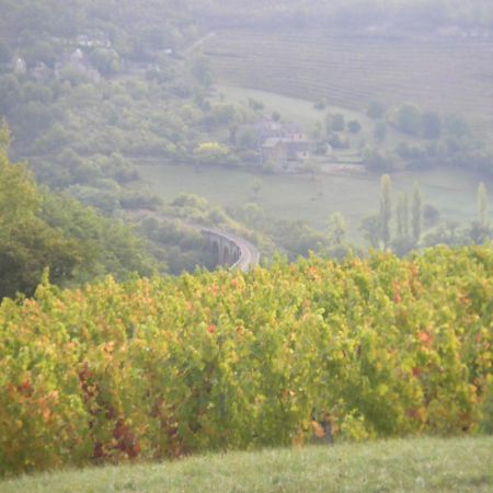 Maison Isolee Dans Les Vignes Et Les Bois Valady エクステリア 写真