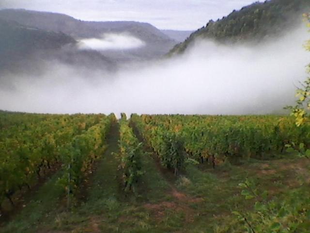 Maison Isolee Dans Les Vignes Et Les Bois Valady エクステリア 写真