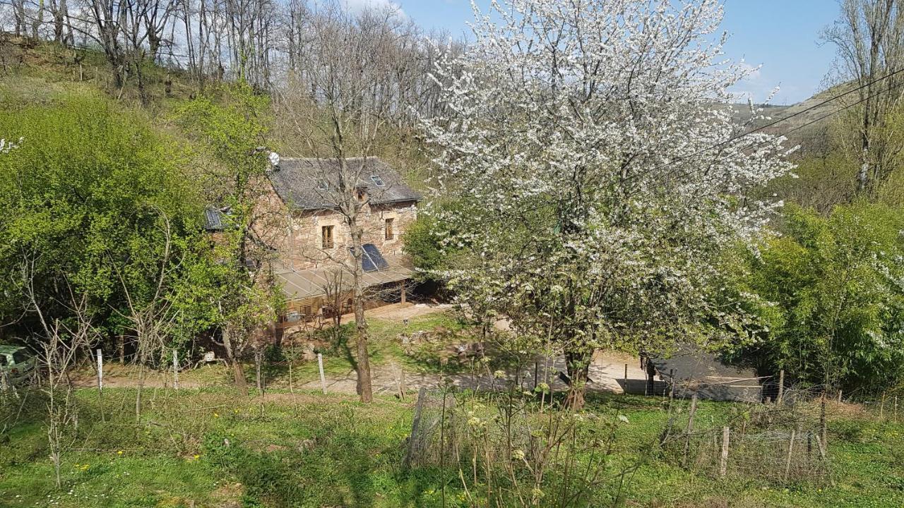 Maison Isolee Dans Les Vignes Et Les Bois Valady エクステリア 写真