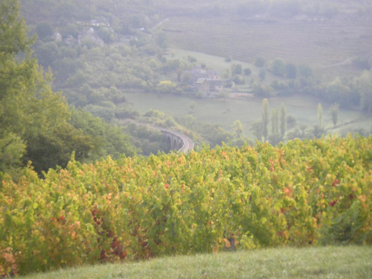 Maison Isolee Dans Les Vignes Et Les Bois Valady エクステリア 写真