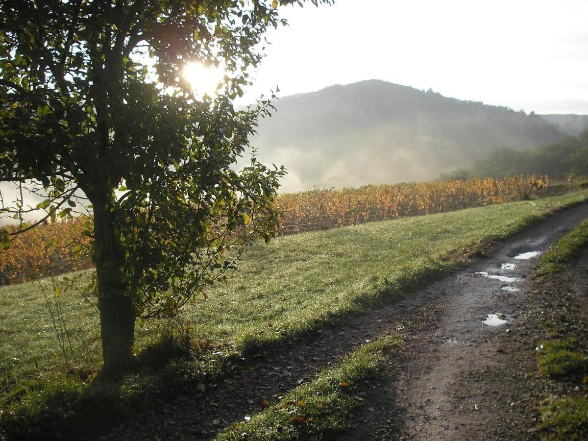 Maison Isolee Dans Les Vignes Et Les Bois Valady エクステリア 写真